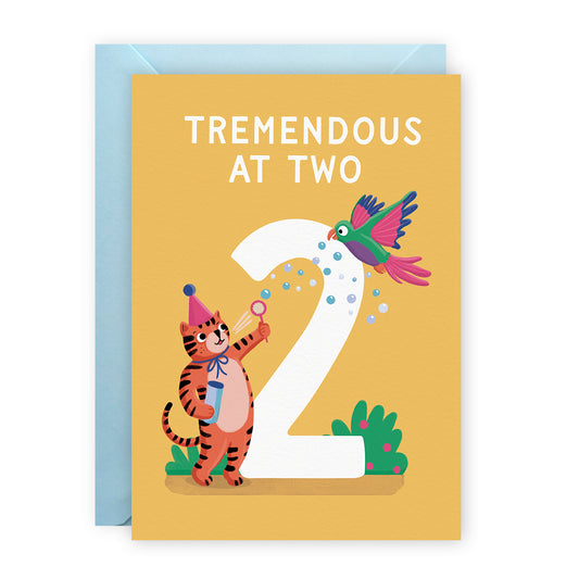Age 2 Bday Card