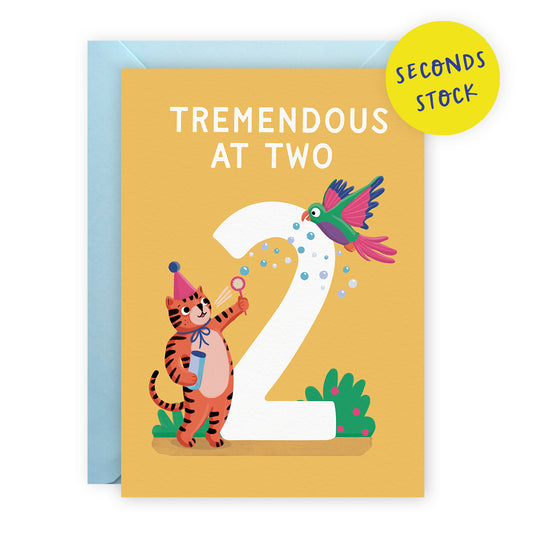 SECONDS: Age 2 Birthday Card